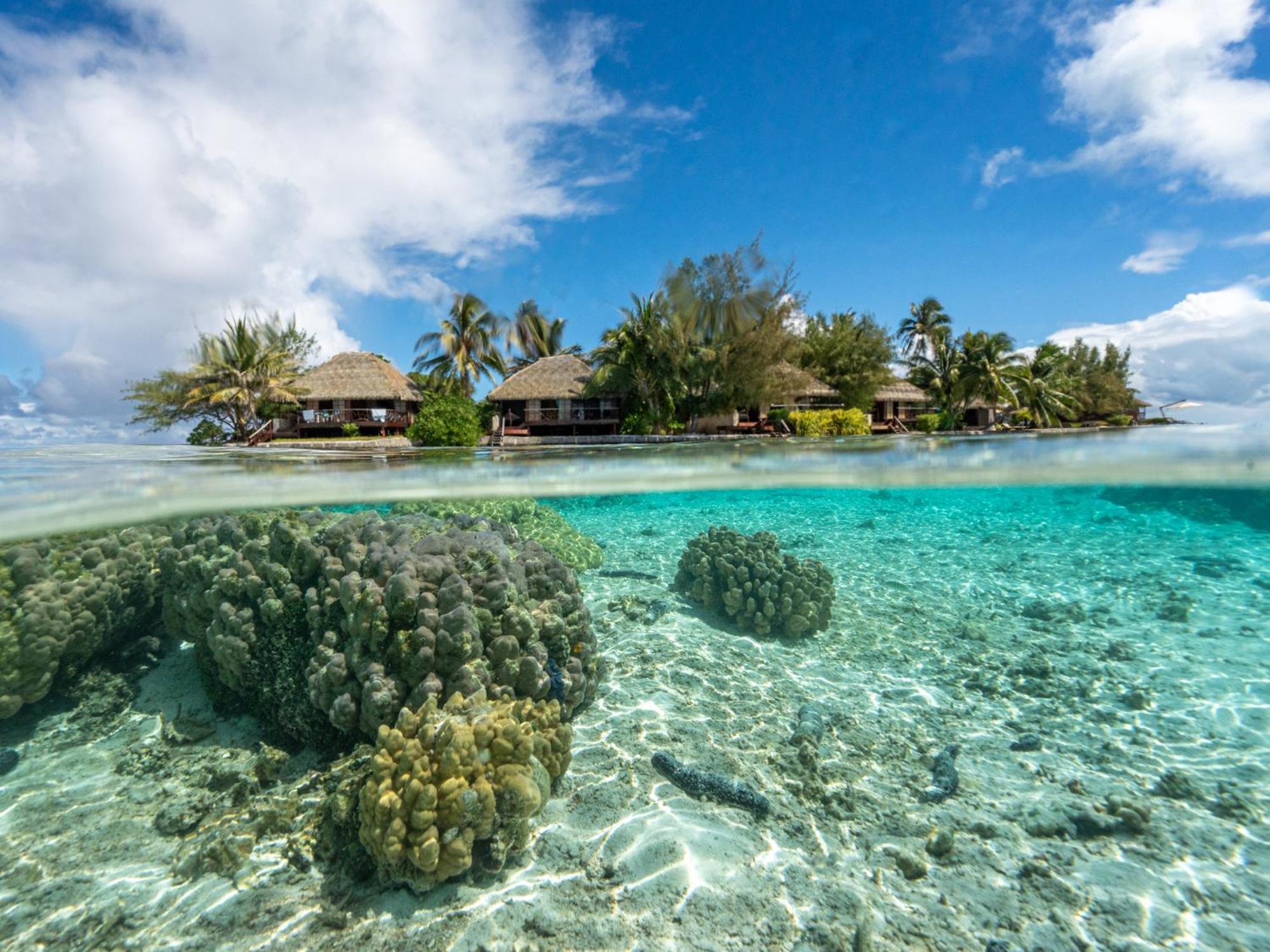 מלון Patio  Eden Private Island Tahaa מראה חיצוני תמונה